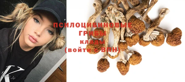 Альфа ПВП Медногорск