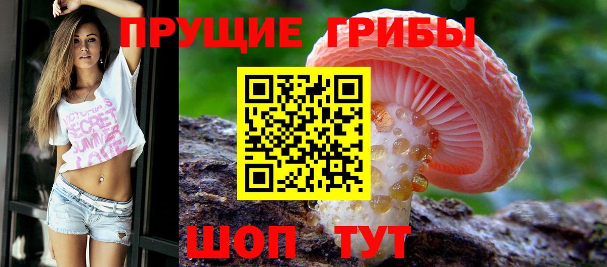 Галлюциногенные грибы Cubensis Брянск