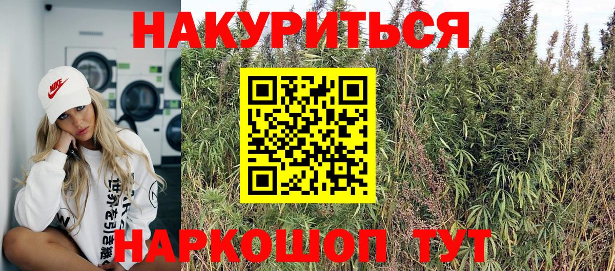 Бошки Шишки OG Kush  Брянск  Каннабис конопля  Бошки Шишки семена 